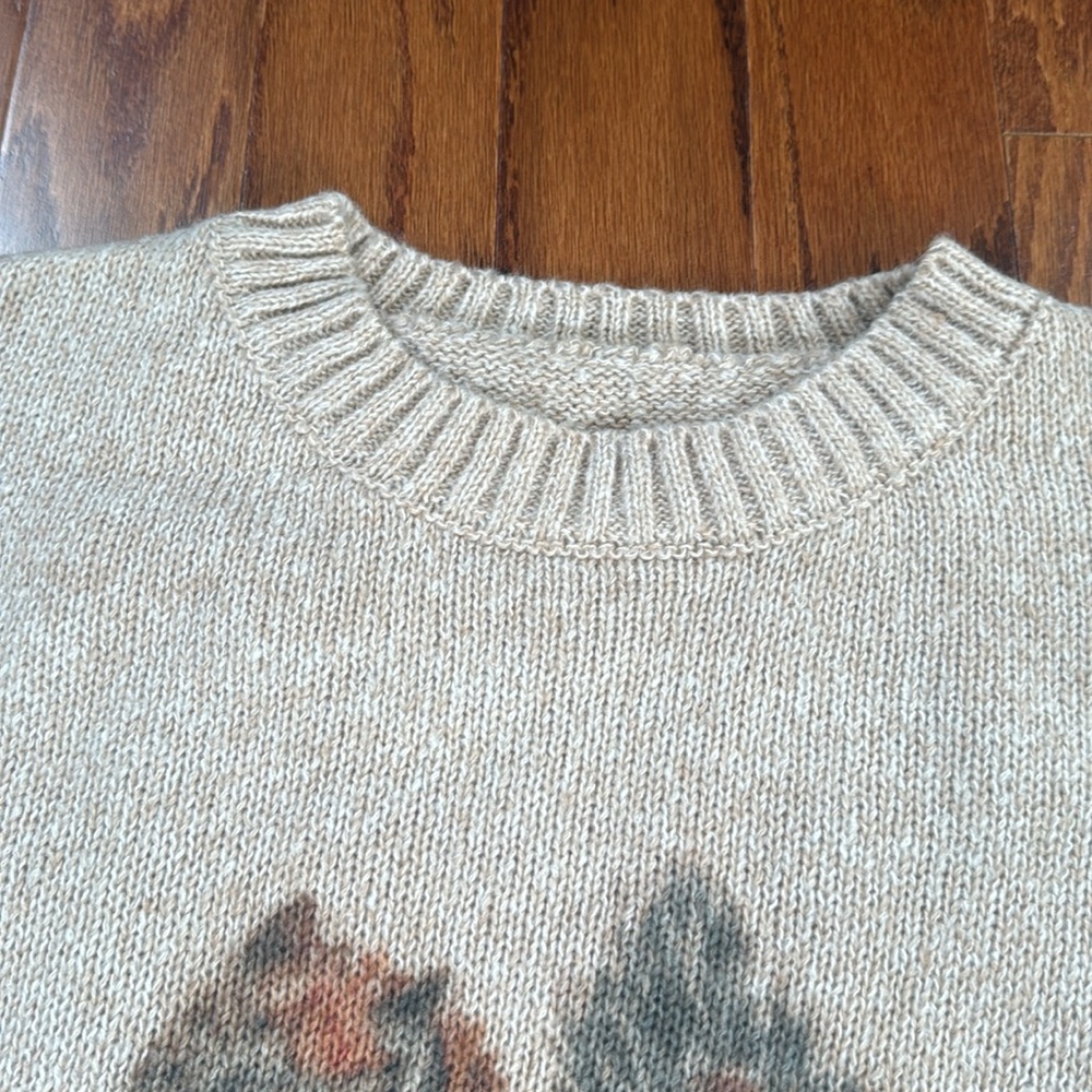Fall Squirrel Graphic Sweater Cozy Crewneck Autumn Thanksgiving Pullover - Picture 8 of 13